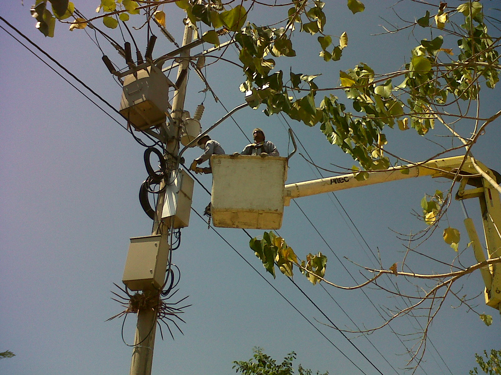 MANTENIMIENTO RED AÉREA DE MEDIA TENSIÓN 34,5 kV Y RED DE ALUMBRADO PÚBLICO