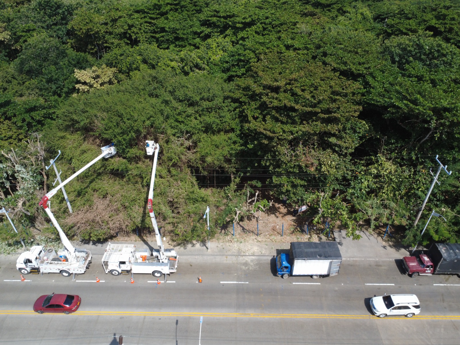 PODA DE ARBOLES SOBRE CIRCUITO TECNOGLASS 34,5KV